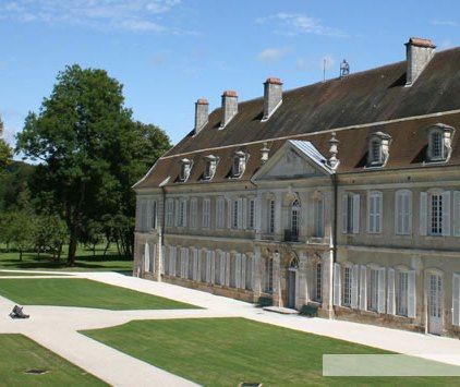 Mycelium - génie savant, génie brut Mycelium - génie savant, génie brut