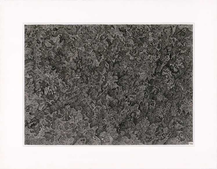 sans titre sans titre