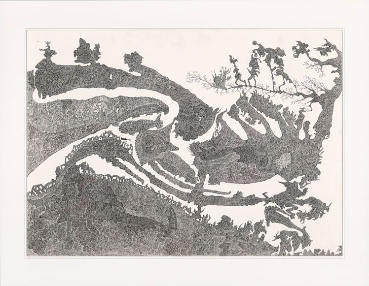 Schwarzer Reiher Schwarzer Reiher