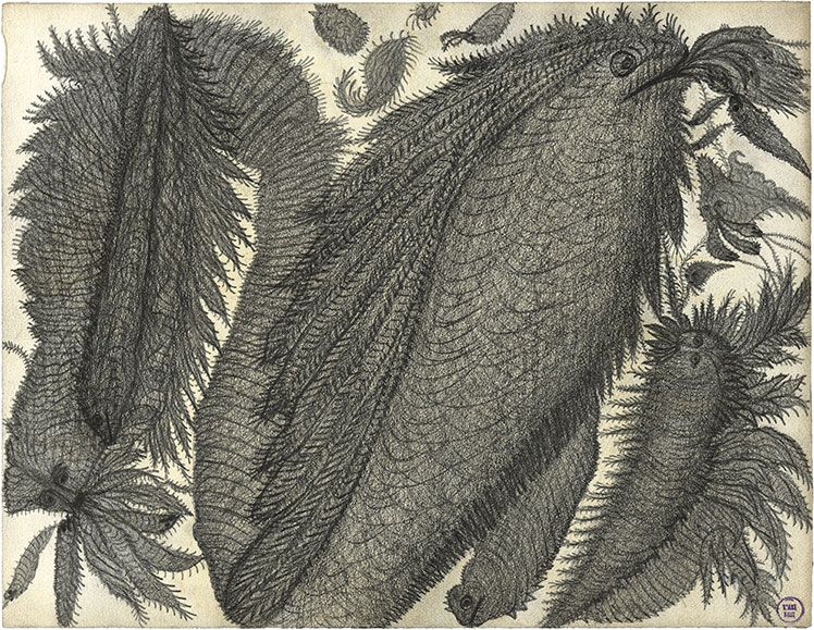 sans titre sans titre