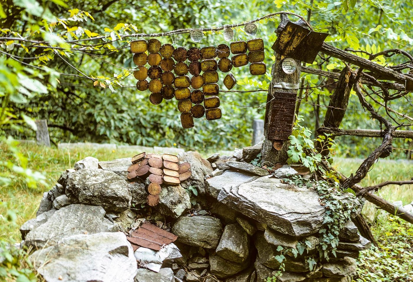 L'univers d'Armand Schulthess