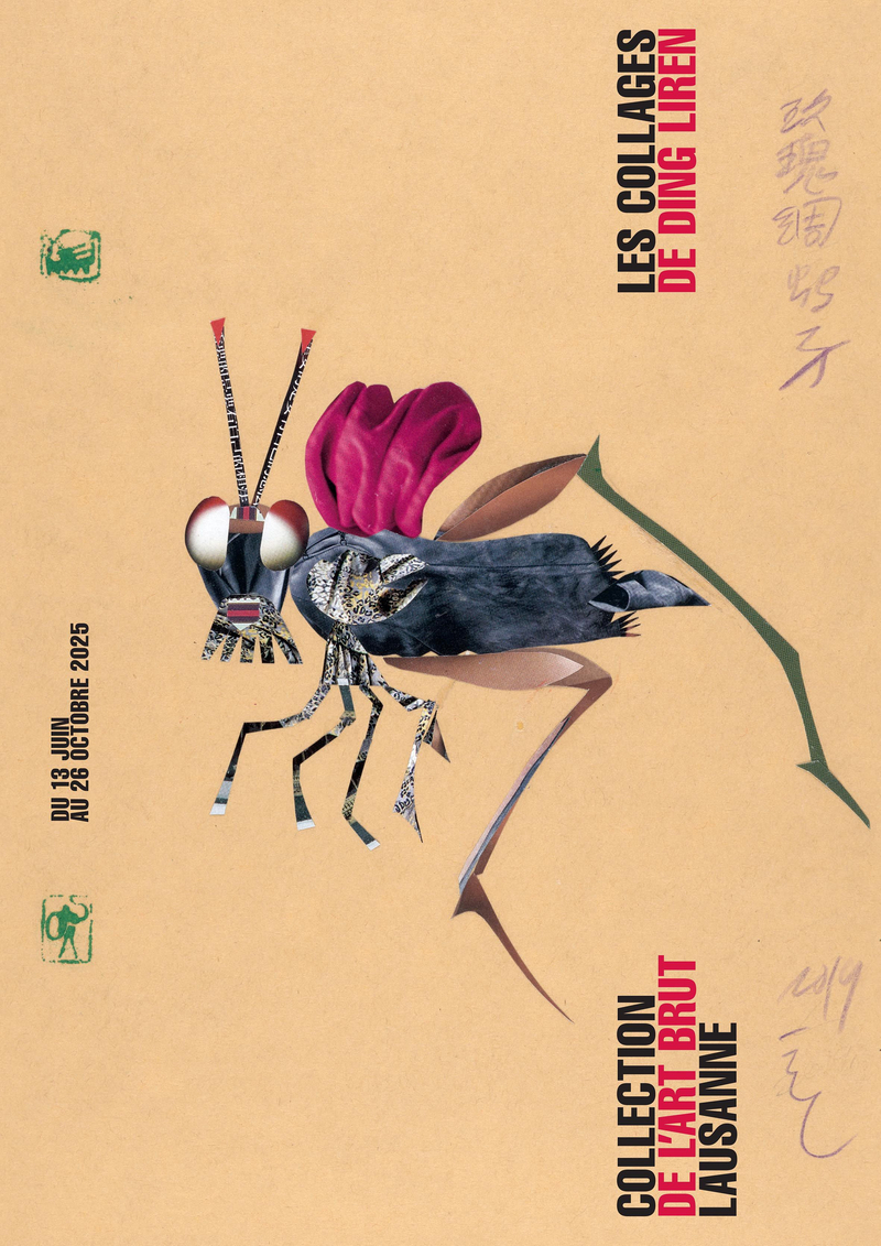 F4 Ding Liren 2025 Ding Liren's collages